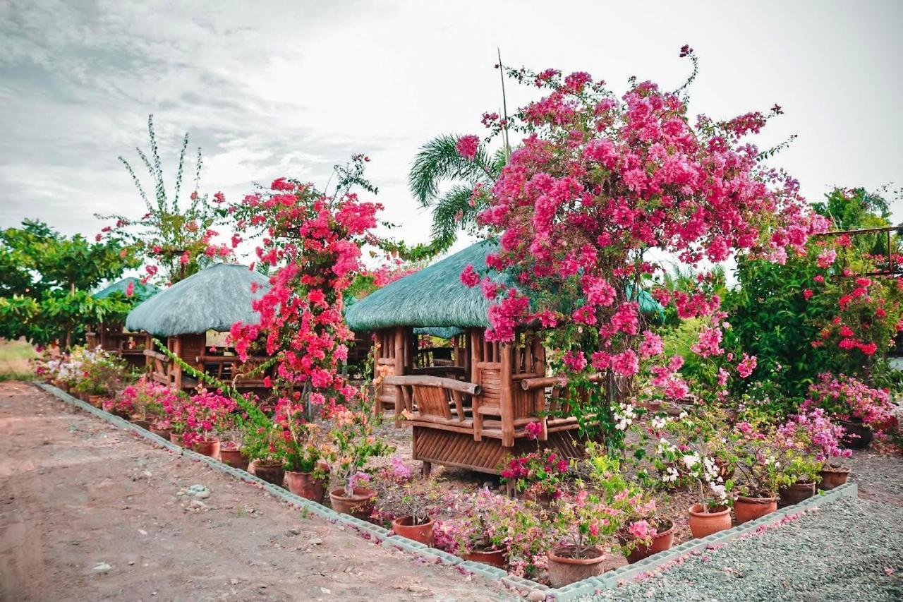 Airport View Hotel Vigan Esterno foto